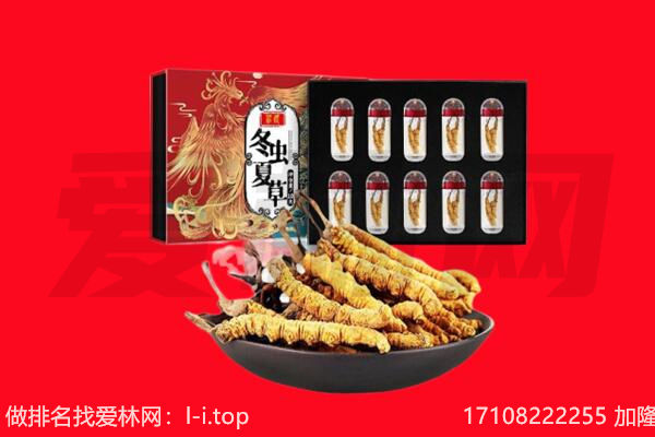 临朐县回收虫草.jpg